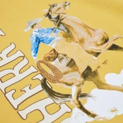 Cherry Flavor Hoodie (Honey) Sweatshirts